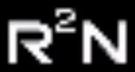 R²N Software logo